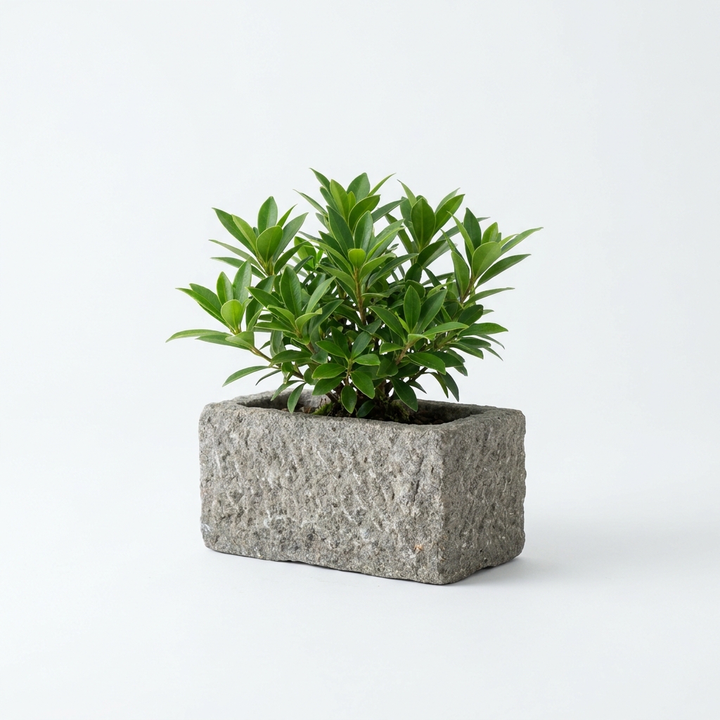 角石 50×50×100